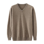 Men's Cashmere Sweater Pure Cashmere V-neck Long Sleeve Knitted Sweater