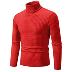 Men's Turtleneck Solid Color Twisted Sweater