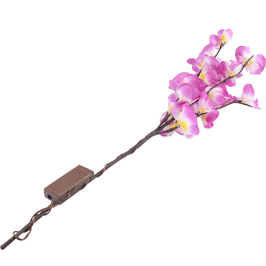 Simulation Phalaenopsis Branch Light