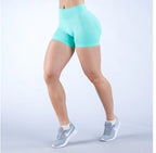 Popular Seamless Fitness Yoga Shorts