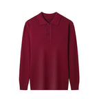 Men's Sweater Polo Collar Solid Color Fashion Ordinary