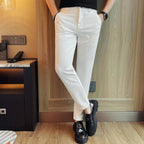Men's Casual Straight-leg Dark Pattern Ice Silk Cropped Pants